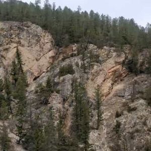 Meet your Posher, Gursharan